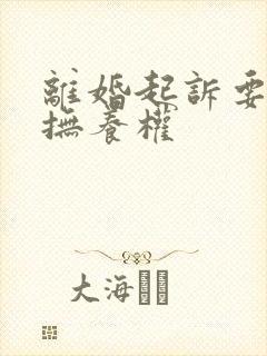 离婚起诉要孩子抚养权