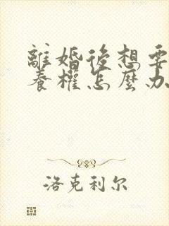 离婚后想要回抚养权怎么办封面