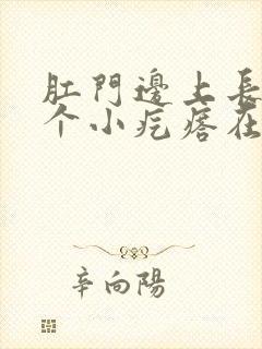 肛门边上长了一个小疙瘩在肉里