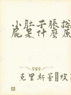 小肚子胀总想放屁是什么原因