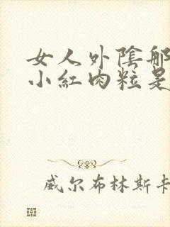 女人外阴那起了小红肉粒是什么原因封面