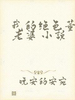 我的绝色董事长老婆 小说