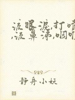 流眼泪,打喷嚏,流鼻涕,咽喉痛封面