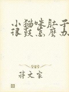 小猫咪肚子很大很鼓怎么办