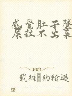 感觉肚子坠胀有屎拉不出来是啥病