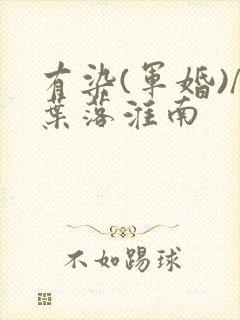 有染(军婚)/叶落淮南封面