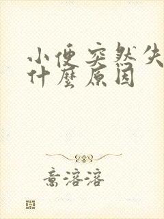 小便突然失禁是什么原因