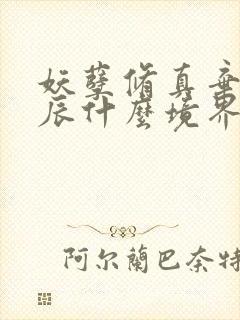 妖孽修真弃少叶辰什么境界