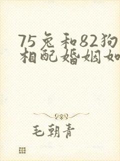 75兔和82狗相配婚姻如何