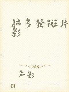 肺多发斑片结节影