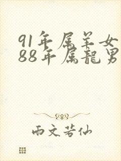 91年属羊女和88年属龙男配吗