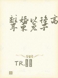 离婚以后高干 耳东兔子封面