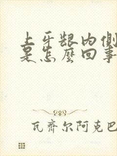 上牙龈内侧出血是怎么回事封面