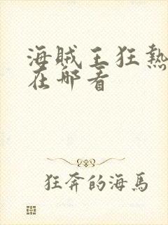 海贼王狂热行动在哪看