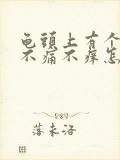 龟头上有个红斑不痛不痒怎么回事