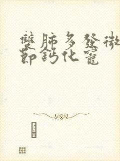 双肺多发微小结节钙化灶封面