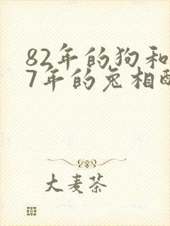 82年的狗和87年的兔相配吗