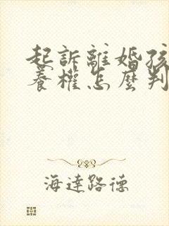 起诉离婚孩子抚养权怎么判决封面