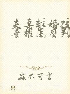 夫妻离婚孩子抚养权怎么判定一个孩子