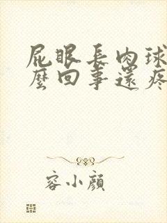 屁眼长肉球是怎么回事还疼