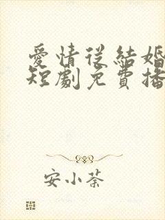 爱情从结婚开始短剧免费播放全集