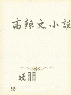 高辣文小说