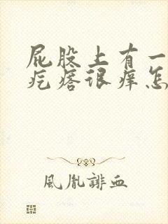 屁股上有一些小疙瘩很痒怎么回事封面