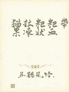 猫拉粑粑带一点果冻状血