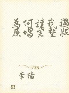 为何让我遇见你原唱完整版封面