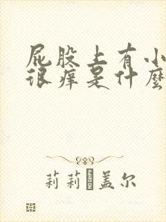 屁股上有小疙瘩很痒是什么原因