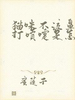 猫咪不流鼻涕就打喷嚏是怎么回事