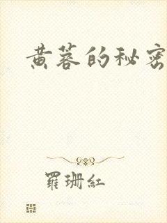 黄蓉的秘密