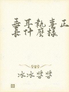 垂耳执事正版书长什么样