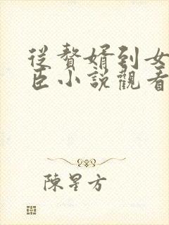 从赘婿到女帝宠臣小说观看封面