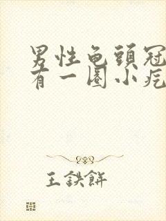 男性龟头冠状沟有一圈小疙瘩