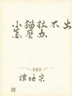 小猫拉不出来尿怎么办