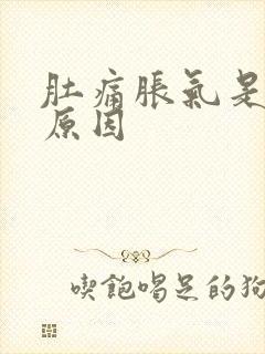 肚痛胀气是什么原因