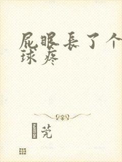 屁眼长了个小肉球疼