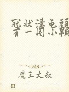 冠状沟龟头边缘有一圈小颗粒