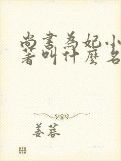 尚书为妃小说原著叫什么名字