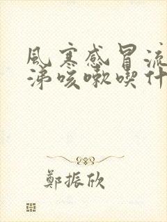 风寒感冒流清鼻涕咳嗽吃什么药