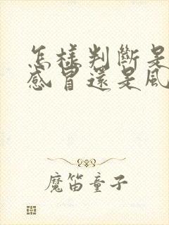 怎样判断是风寒感冒还是风热感冒