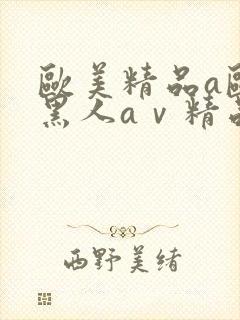 欧美精品a欧洲黑人aⅴ精品