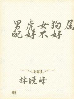 男虎女狗属相婚配好不好封面