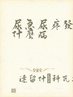 尿急尿疼发烧是什么病