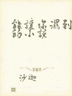 能让你湿到不行的小说