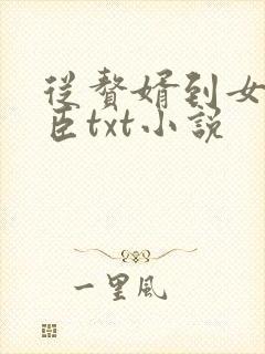 从赘婿到女帝宠臣txt小说