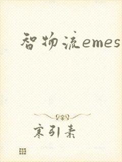 智物流emes