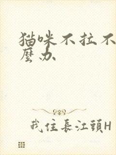 猫咪不拉不尿怎么办