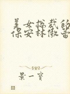 美女总裁的贴身保安林傲蕾丁哲免费阅读